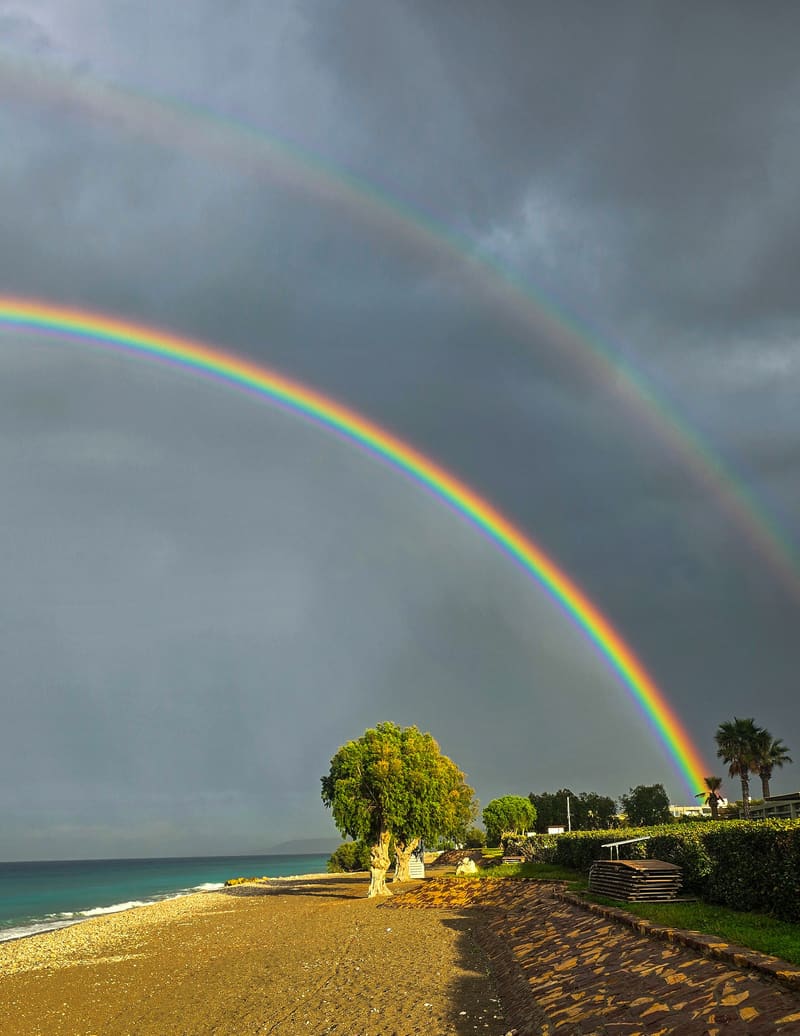 A double rainbow over a beach with a single tree.