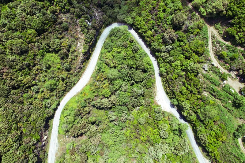 Aerial view of a pale road looping through dense green forest.