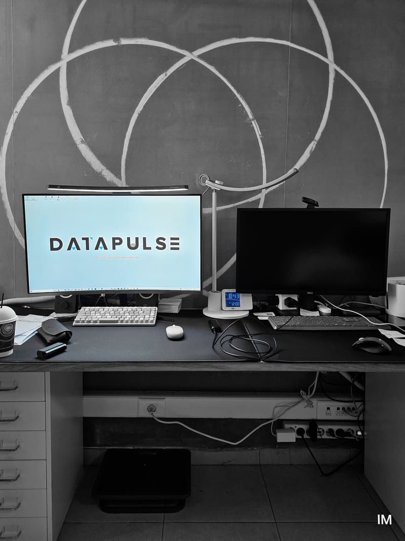 Black and white: a desk with two monitors, one showing the DataPulse logo, under curved wall lines.