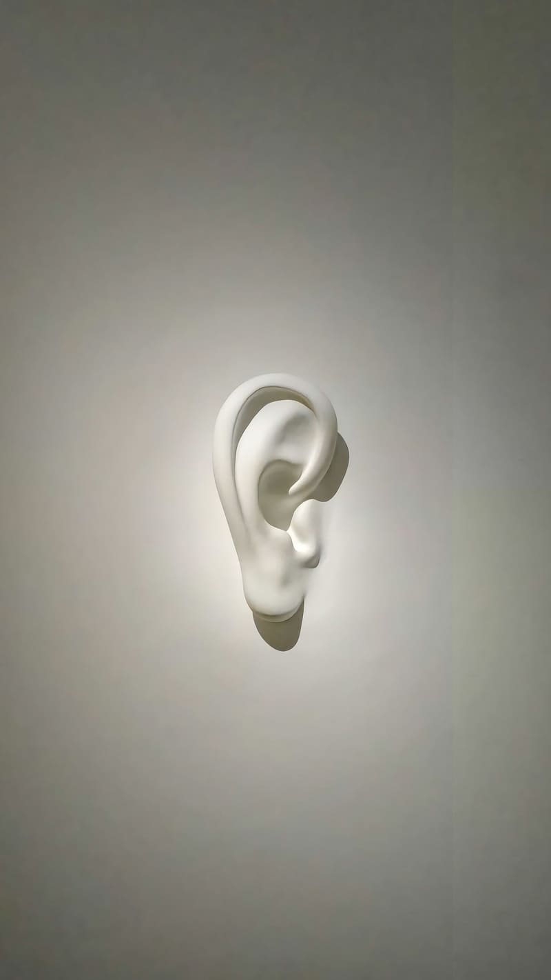 A white sculpted ear on a plain grey wall.