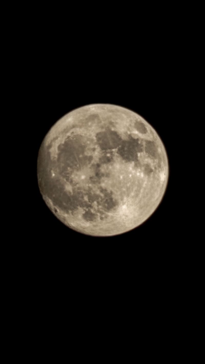 The full moon against a black sky.