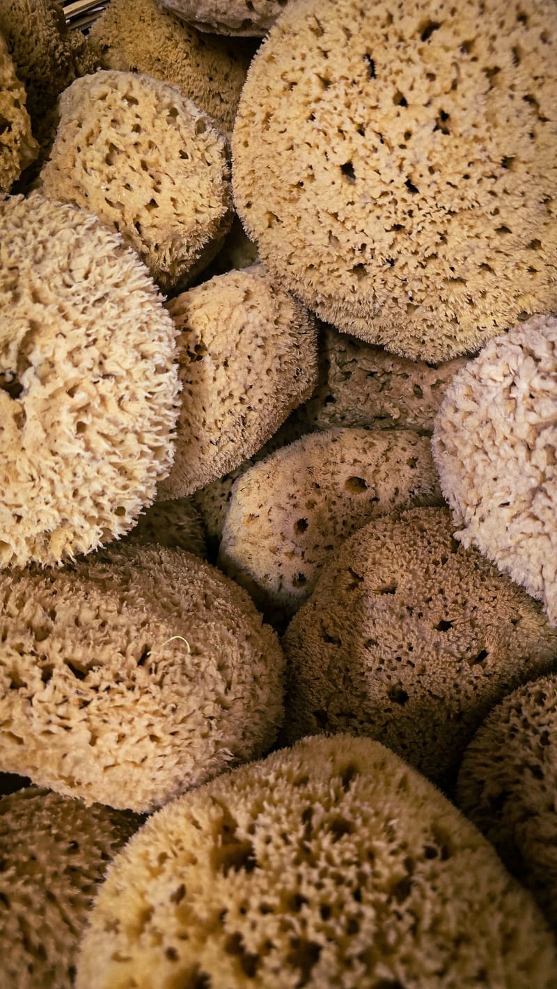 A pile of natural sea sponges, close up.
