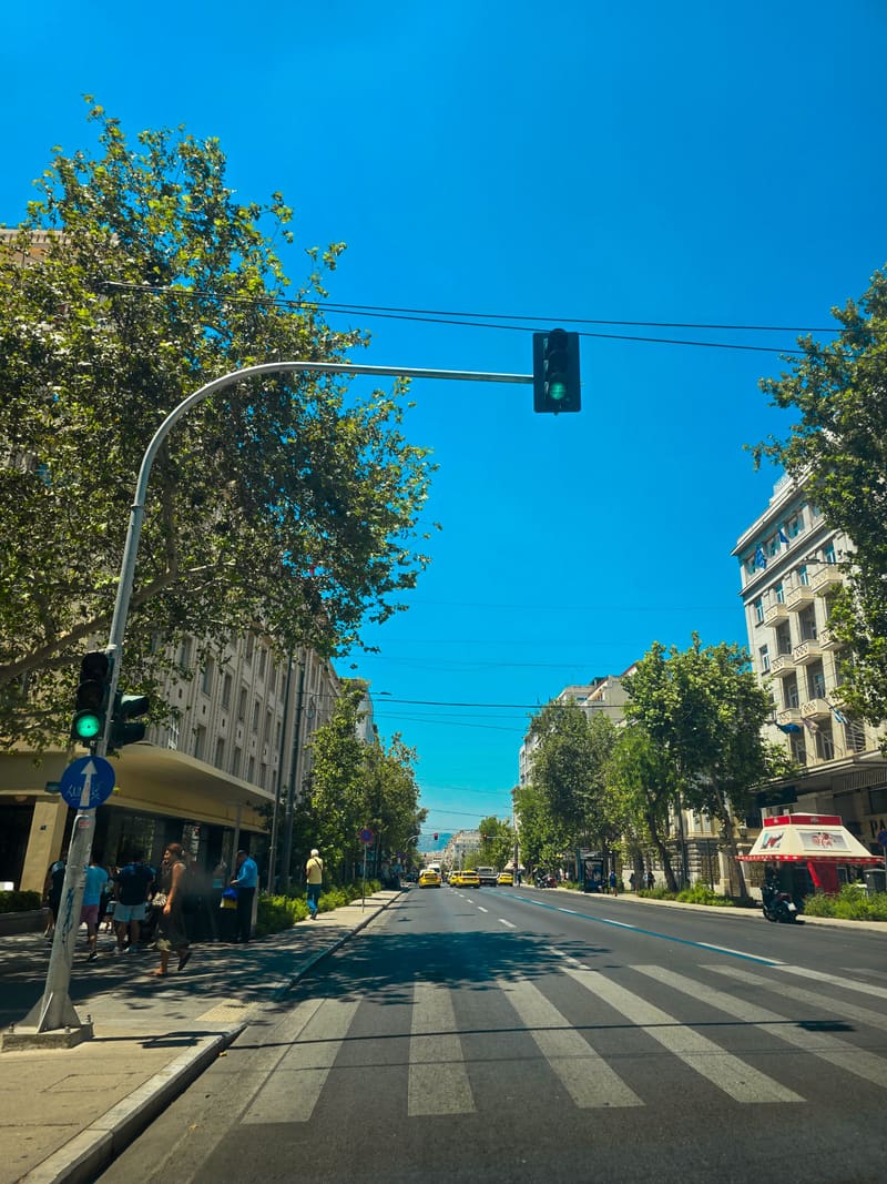 A tree-lined avenue with a pedestrian crossing under a blue sky.
